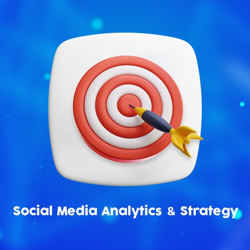 Social Media Analytics &amp; Strategy